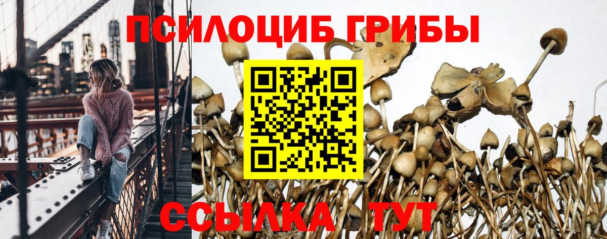 Псилоцибиновые грибы Magic Shrooms  купить наркотик  Вход с VPN  Благовещенск  Галлюциногенные грибы ЛСД 